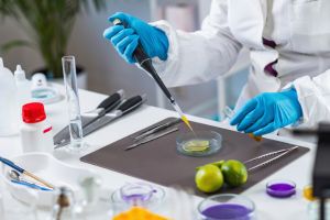 Lab Tech